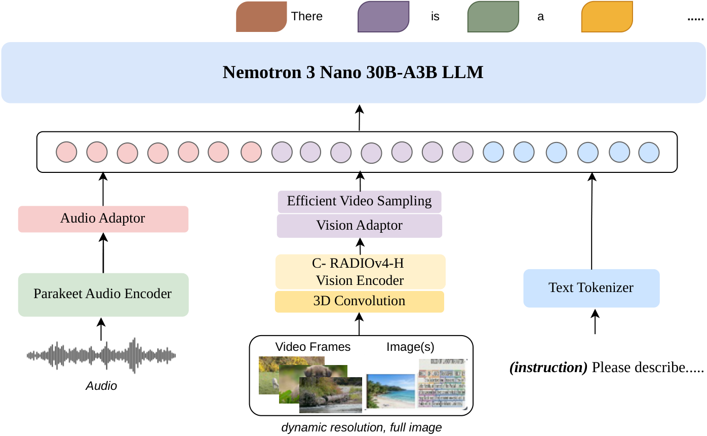 Nemotron 3 Nano Omni 论文配图