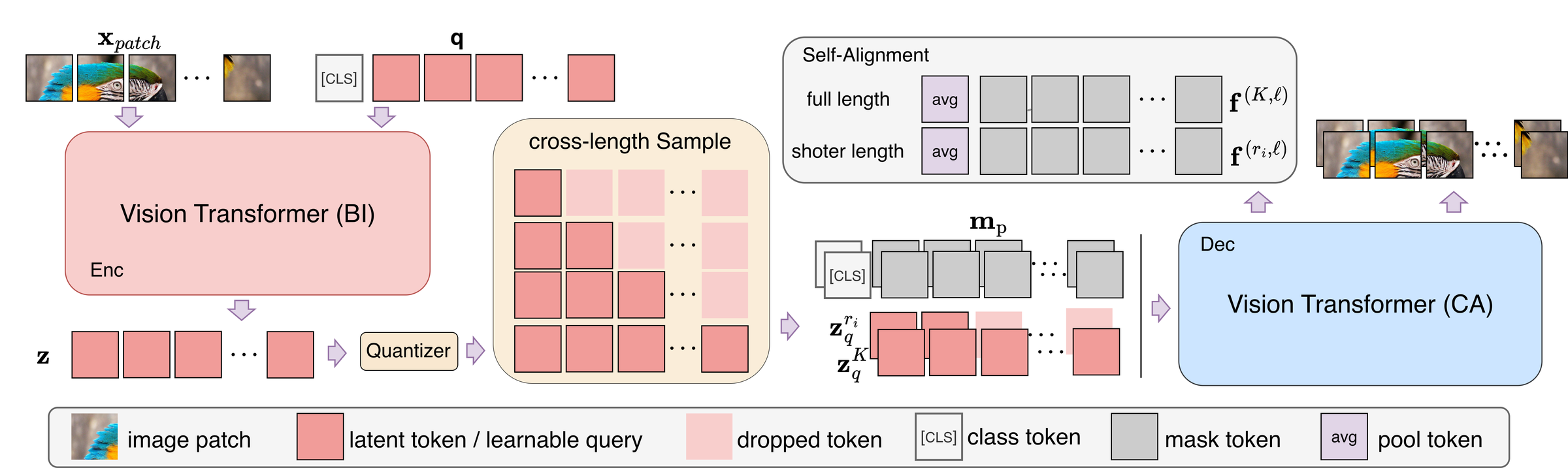 左侧 image patch 经双向 ViT 编码、量化成 1D latent token；中间是跨长度采样——每次随机取一个长度，只保留前若干个 token、其余置为 mask token，一套权重覆盖不同算力预算。右上角是自对齐的关键：全长序列与短序列各自池化成两个特征向量，让短前缀去逼近全长的表示，而不是只让前缀独立地「更重要」；解码端用因果 ViT 重建。底部图例标出 image patch、latent token、dropped token、class token、mask token 五种元素。