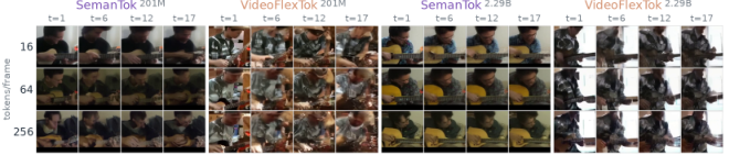 SemanTok 实验结果