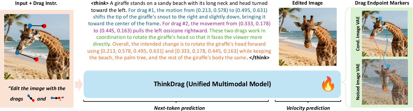 ThinkDrag 方法与探针概览